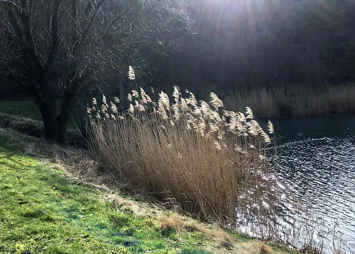 The Cozy Rieden (Mayen-Koblenz)