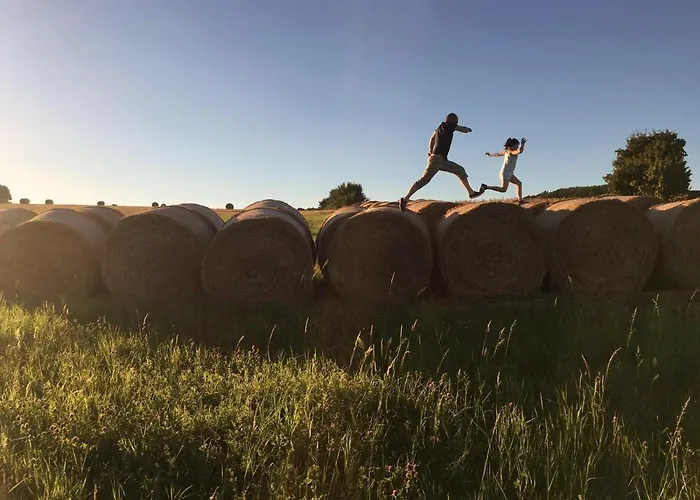 Appartement The Cozy *