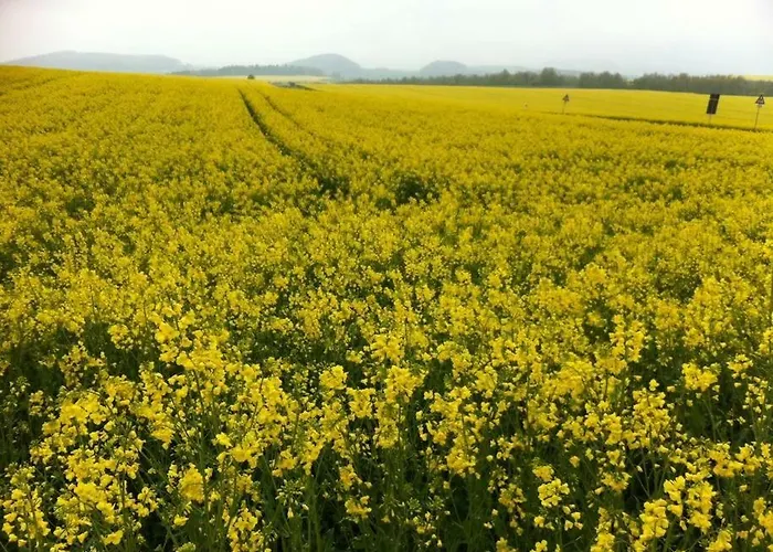 Appartement The Cozy Rieden (Mayen-Koblenz)