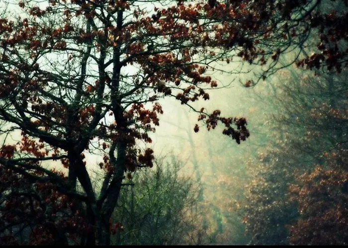 Appartement The Cozy *